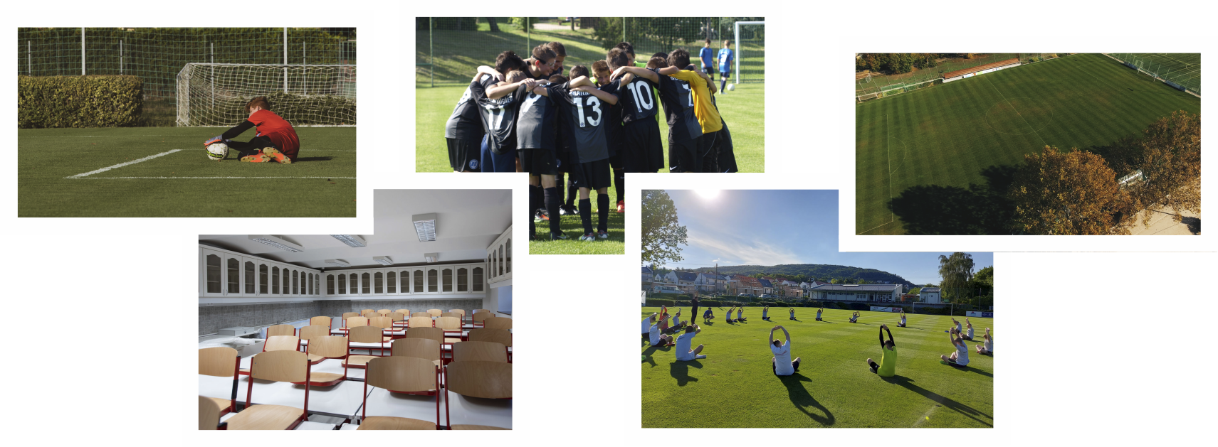 busc_1